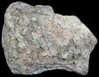 Crystal Filled Dugway Geode (Polished Half) #67480-1